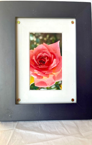 “Rose Photo #10 & #11” - re-New-ed Art Works